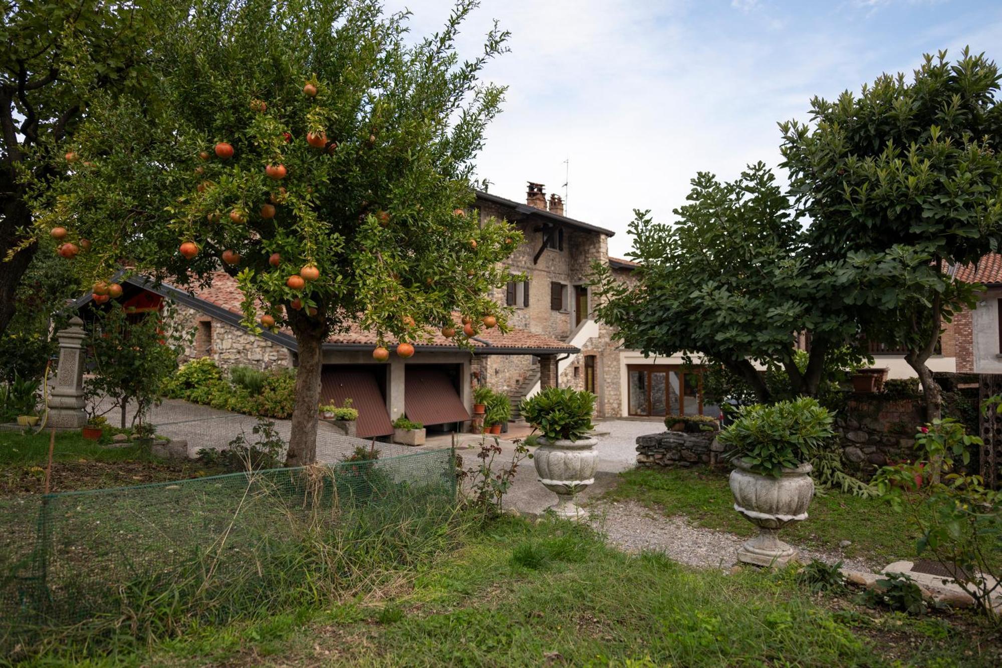 La Terrazza Sulle Vigne B&B Corte Franca Ngoại thất bức ảnh